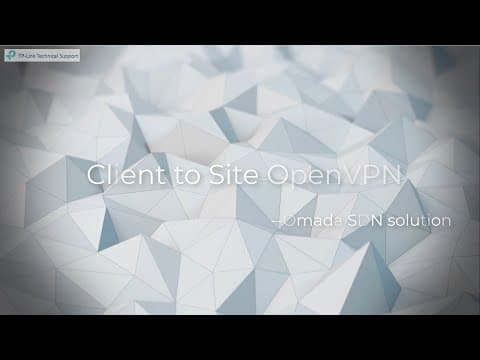 Omada SDN Video-How to configure Client to Site OpenVPN on TP-Link Omada SDN Controller
