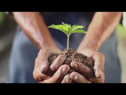 Brother recycling scheme - Recycle your genuine toner cartridges for free