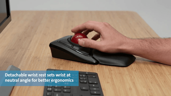 Expert Mouse Wireless Trackball